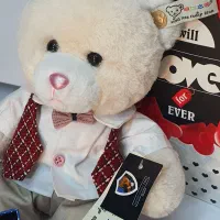 پک ولنتاین|کلکسیون و سرگرمی|رشت, فلسطین|دیوار