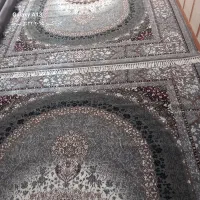 فرش جدید طرح پتینه جدید|فرش|تربت جام, کاریز نو سفلی|دیوار