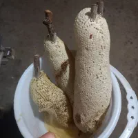 عسل