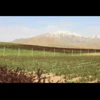 باغ راژان ۱۲۰۰۰ متر چاه اب+برق ۳ فاژ+قطرهای