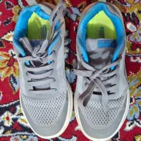 کفش اسکیچرز زنانه