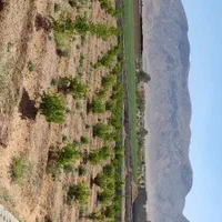 زمین باغی ۱۰۰۰متر.مبارکه جاده مبارکه اصفهان|فروش دفتر صنعتی، کشاورزی، تجاری|مبارکه, |دیوار