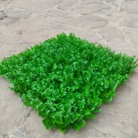 شهر چمن|مصالح و تجهیزات ساختمان|کرمان, |دیوار