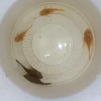 جفت لجنخوار پوزه بوته ای  ماهی گوپی