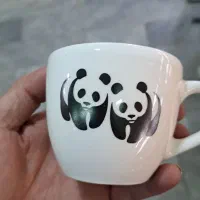 فنجون سرامیکی|ظروف سرو و پذیرایی|مشهد, گلبرگ|دیوار