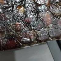 خرما مخصوص شیره گرفتن