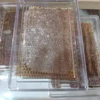 عسل طبیعی کوهستان محصول آذربایجان (سراب)|خوردنی و آشامیدنی|نسیم‌شهر, |دیوار