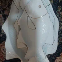 دیس پذیرایی