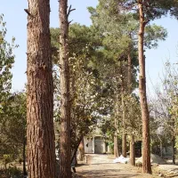 باغ ویلا1950متری/شهریار/دهشاد/میدان نماز/جنت آباد|فروش خانه و ویلا|شهریار, دهشاد بالا|دیوار