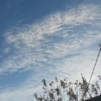 طبیعت گردی