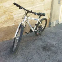 دوچرخه ویوا کوهستانی