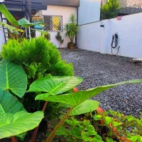 ویلا استخردار ساحلی جنگلی با جکوزی