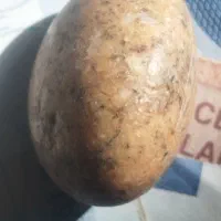 فروش سنگهای قیمتی|جواهرات|بیجار, |دیوار