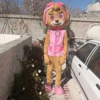 عروسک باعروسک گردان باهم درمجالس|اسباببازی|شیراز, حومه شیراز|دیوار