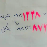 سیم کارت رند پلکانی  کد ۱  09121348761