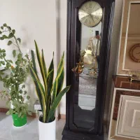 ساعت ویترینی ایستاده سالم