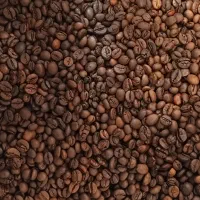 باریستا شو|خدمات آموزشی|نوشهر, |دیوار