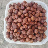 عناب روستا