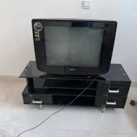 تلوزیون