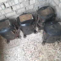 کوت عبدالله