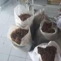 پیاز زعفران