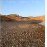 زمین-دشت-عباس