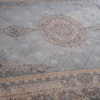 فرش 2×3|فرش|اشنویه, |دیوار