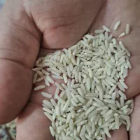 برنج پاکستانی سوپر باسماتی ساعی|خوردنی و آشامیدنی|قوچان, |دیوار