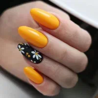 کاشت ناخن|خدمات آرایشگری و زیبایی|دوگنبدان, |دیوار