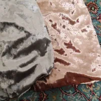 سه عدد بلیز مخمل آستین توری نو|لباس|پیشوا, |دیوار