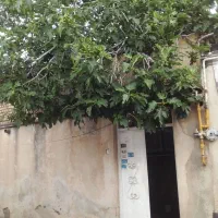 ۷۲ متری بیدستان