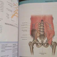 کتاب گری آناتومی برای دانشجویان|کتاب و مجله آموزشی|قم, صفاشهر|دیوار