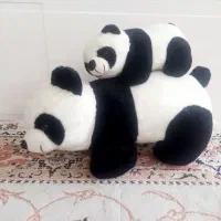 تخت کودک و عروسک|تخت و صندلی بچه|آستانه اشرفیه, |دیوار