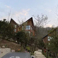 استخدام سرایدار