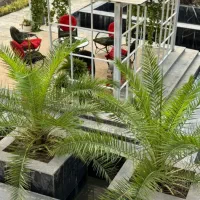 اجاره-روزانه-سوییت-یک-خوابه