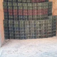 سبد دوردیفه سیب