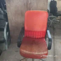 فروش ۳۰۰عددصتدل گردان