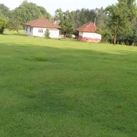 ویلای قدیمساز جنگلی ۱۲هزار متری ، رضوانشهر|فروش زمین و ملک کلنگی|رضوانشهر, |دیوار