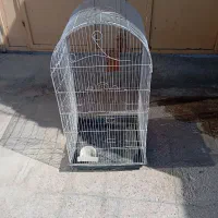 قفس پرنده