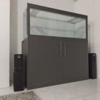 قناری نر جوان معاوضه با لوازم اکواریوم ابنوس|پرنده|کرج, کمال‌شهر|دیوار