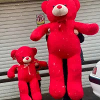 خرس شاسخین کادویی ولنتاین