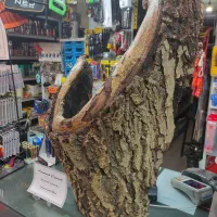 چراغ خواب دکوری چوب گردو