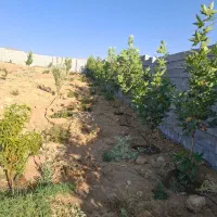 فروش-باغچه-سپیدان-همایجان