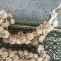 سیر محلی|خوردنی و آشامیدنی|رشت, دیلمان|دیوار