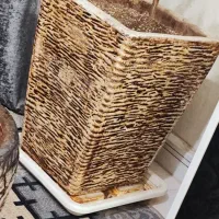 گلدان|گل و گیاه طبیعی|مشهد, گلبرگ شمالی|دیوار