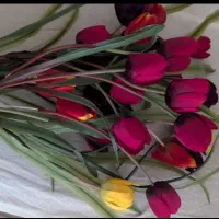 گل مصنوعی|گل مصنوعی|شیراز, آزادی|دیوار