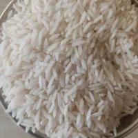 برنج هاشمی گیلان