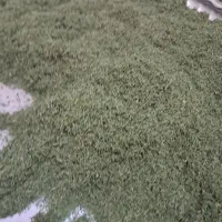شوید خشک نیشابور