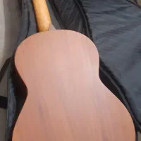 گیتار پارسی M5|گیتار، بیس، امپلیفایر|تهران, پرستار|دیوار