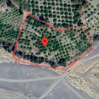 فروش نیم هکتار زمین باغی رودان برنطین